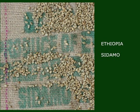 Ethiopian Guji Sidamo Unroasted Green Coffee Beans