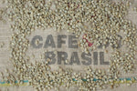 Brazil Cerrado coffee beans